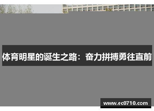 体育明星的诞生之路：奋力拼搏勇往直前